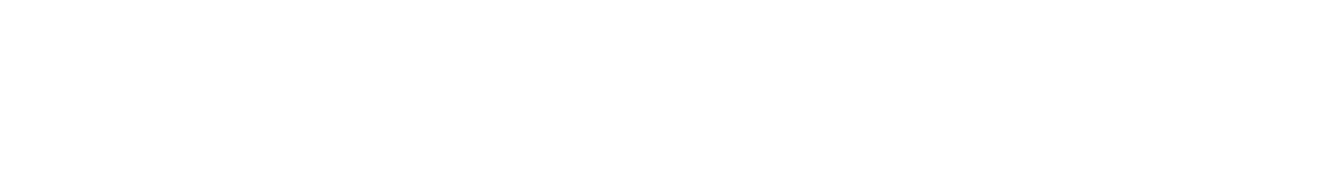 Reconnectifly